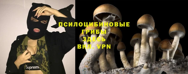 кокс Гусев