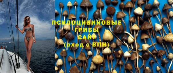 кокс Гусев
